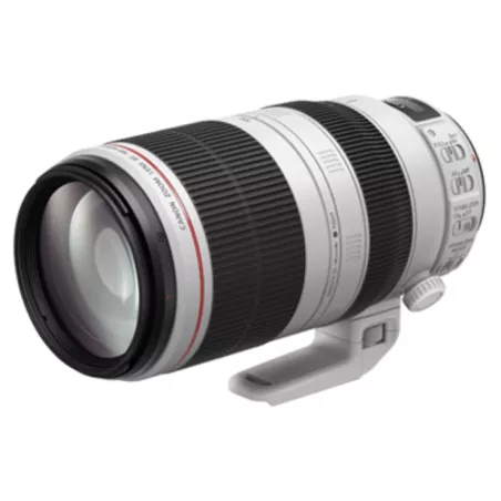 CANON EF 100-400MM F/4.5-5.6 L IS II USM