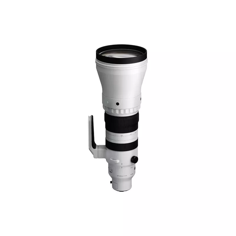 SIGMA 300-600MM F/4 DG OS | Zoom ultra-téléobjectif rapide