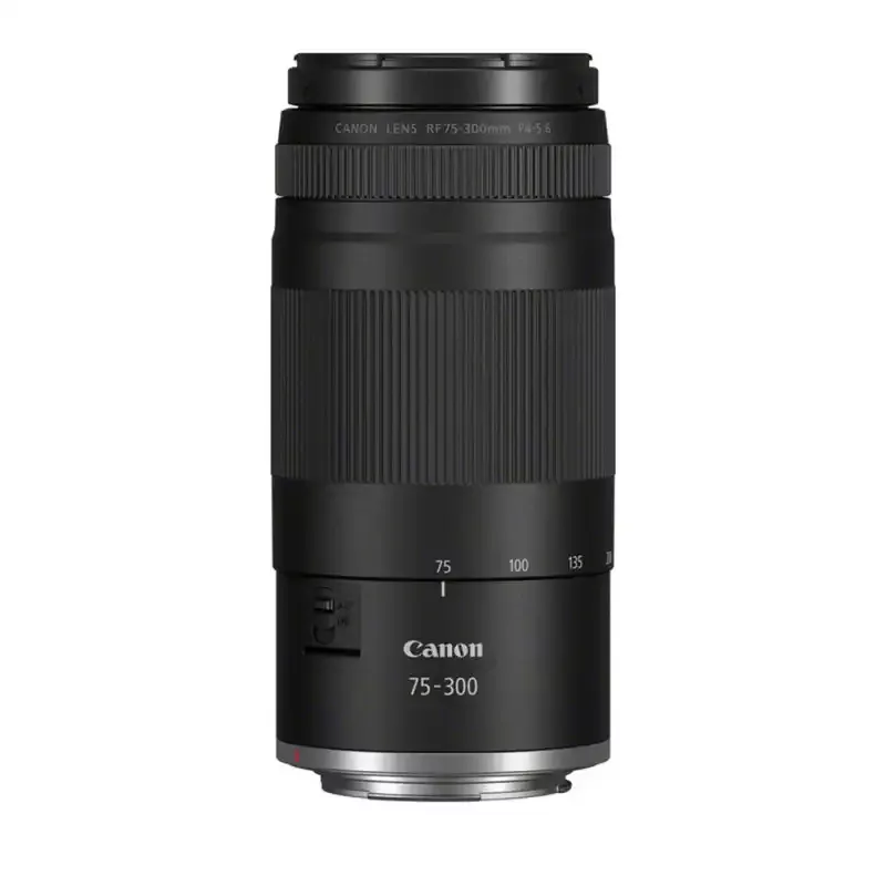 CANON RF 75-300MM F/4-5.6 - Zoom téléobjectif RF