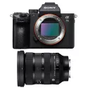 Sony Alpha 7 III + Sigma 24-70mm F/2.8 DG DN II Art