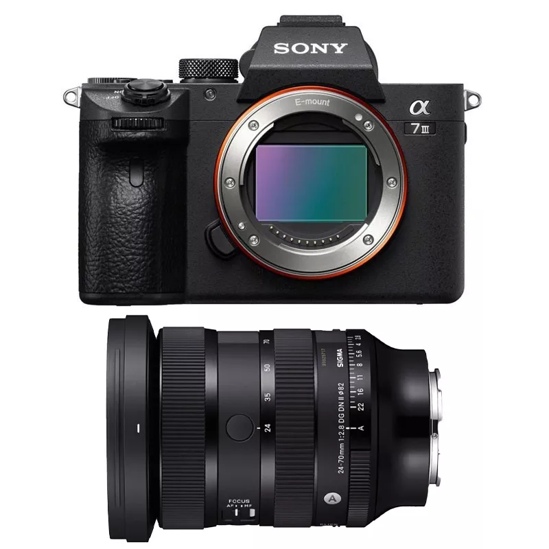 Sony Alpha 7 III + Sigma 24-70mm F/2.8 DG DN II Art