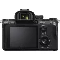 Sony Alpha 7 III + Tamron 35-150mm F/2-2.8 DI III VXD