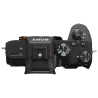 Sony Alpha 7 III + FE 24-105mm F/4G OSS