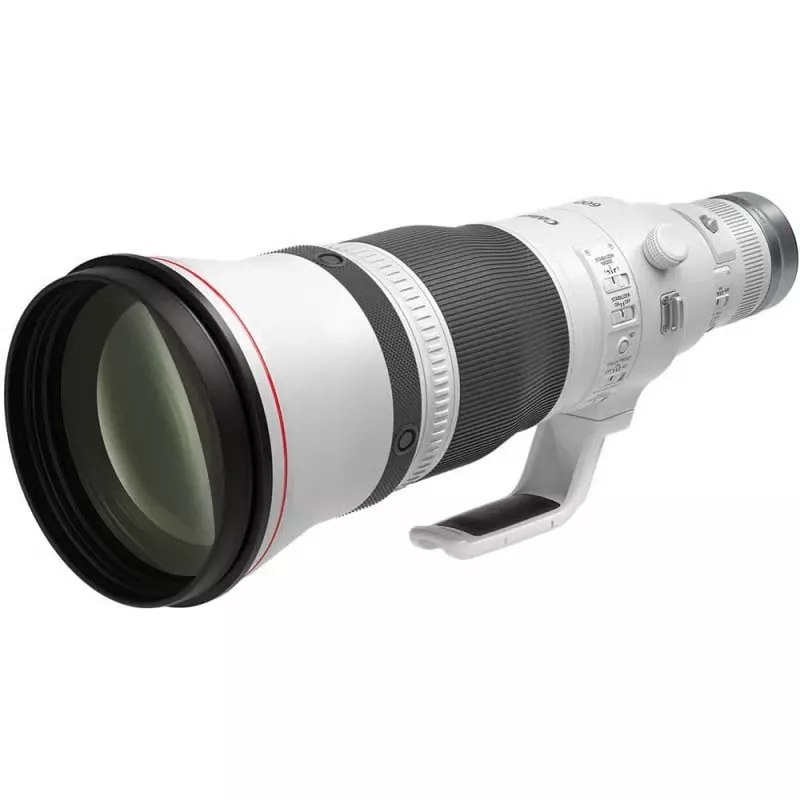 Canon RF 600mm f/4 L IS USM - L’arme ultime en animalier