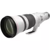 Canon RF 600mm f/4 L IS USM - L’arme ultime en animalier