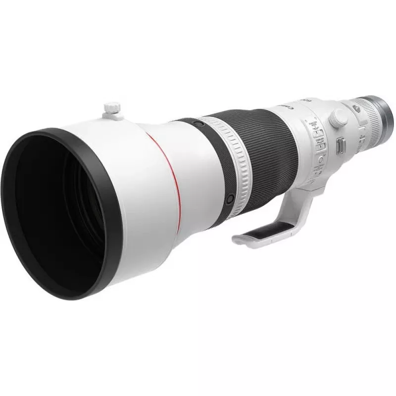 Canon RF 600mm f/4 L IS USM - L’arme ultime en animalier