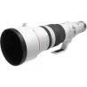 Canon RF 600mm f/4 L IS USM - L’arme ultime en animalier