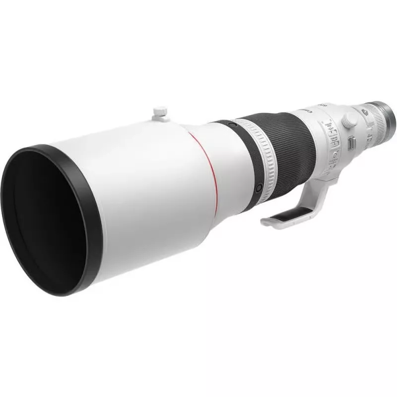 Canon RF 600mm f/4 L IS USM - L’arme ultime en animalier