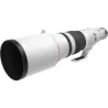 Canon RF 600mm f/4 L IS USM - L’arme ultime en animalier