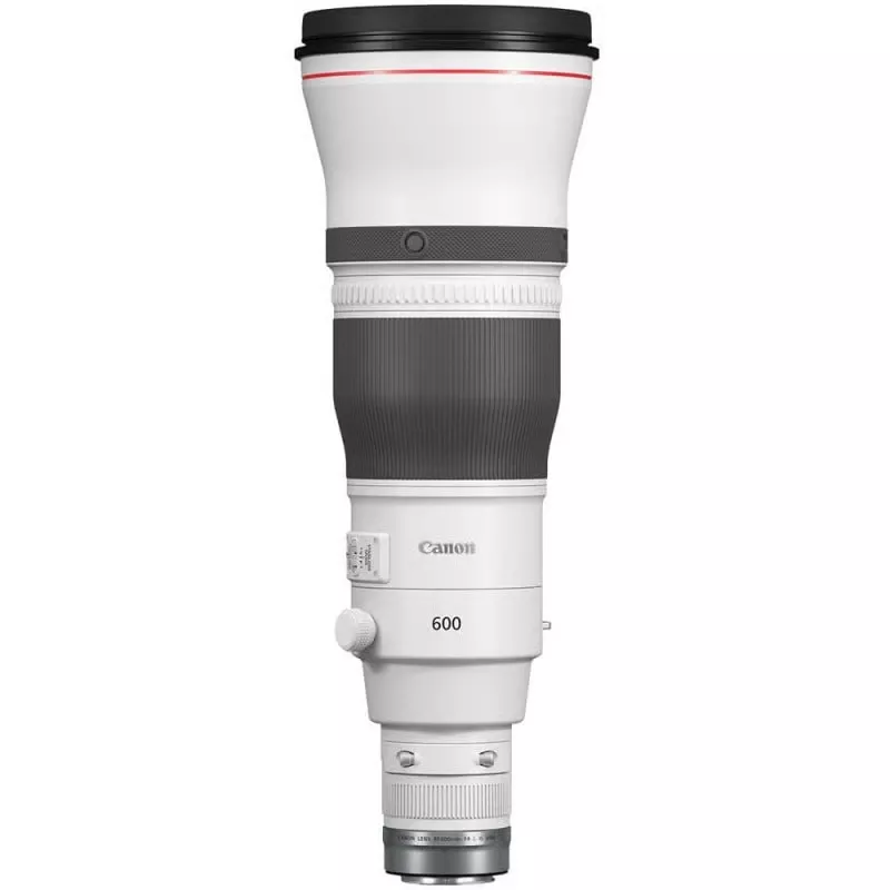 Canon RF 600mm f/4 L IS USM - L’arme ultime en animalier