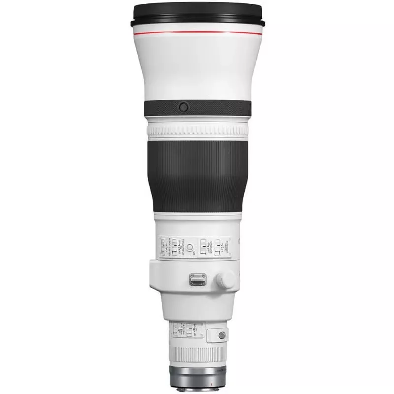 Canon RF 600mm f/4 L IS USM - L’arme ultime en animalier