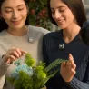 DJI Mic Mini 2 - Micro sans fil 400m, 48h et ultra compact