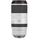 CANON RF 100-500MM F/4.5-7.1L IS USM
